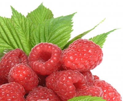 Himbeeren